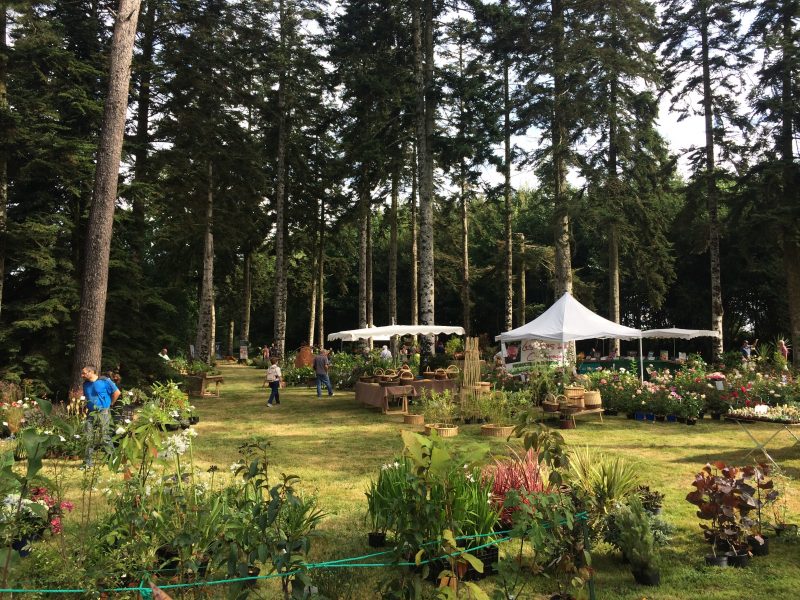 marché aux plantes