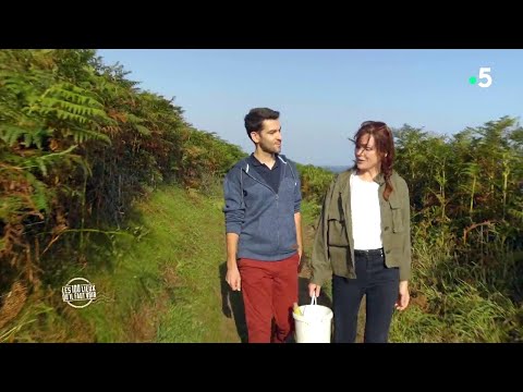 Les 100 Lieux qu'il faut voir - Sentier côtier en Bretagne