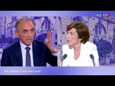 Eric Zemmour à Alain Minc : « On arrêtera le Grand remplacement en faisant le contraire de ce que tous vos amis au pouvoir ont fait depuis 40 ans »