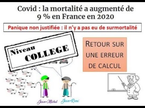 Covid-19. Sans surmortalité, les mesures sont-elles justifiées ?