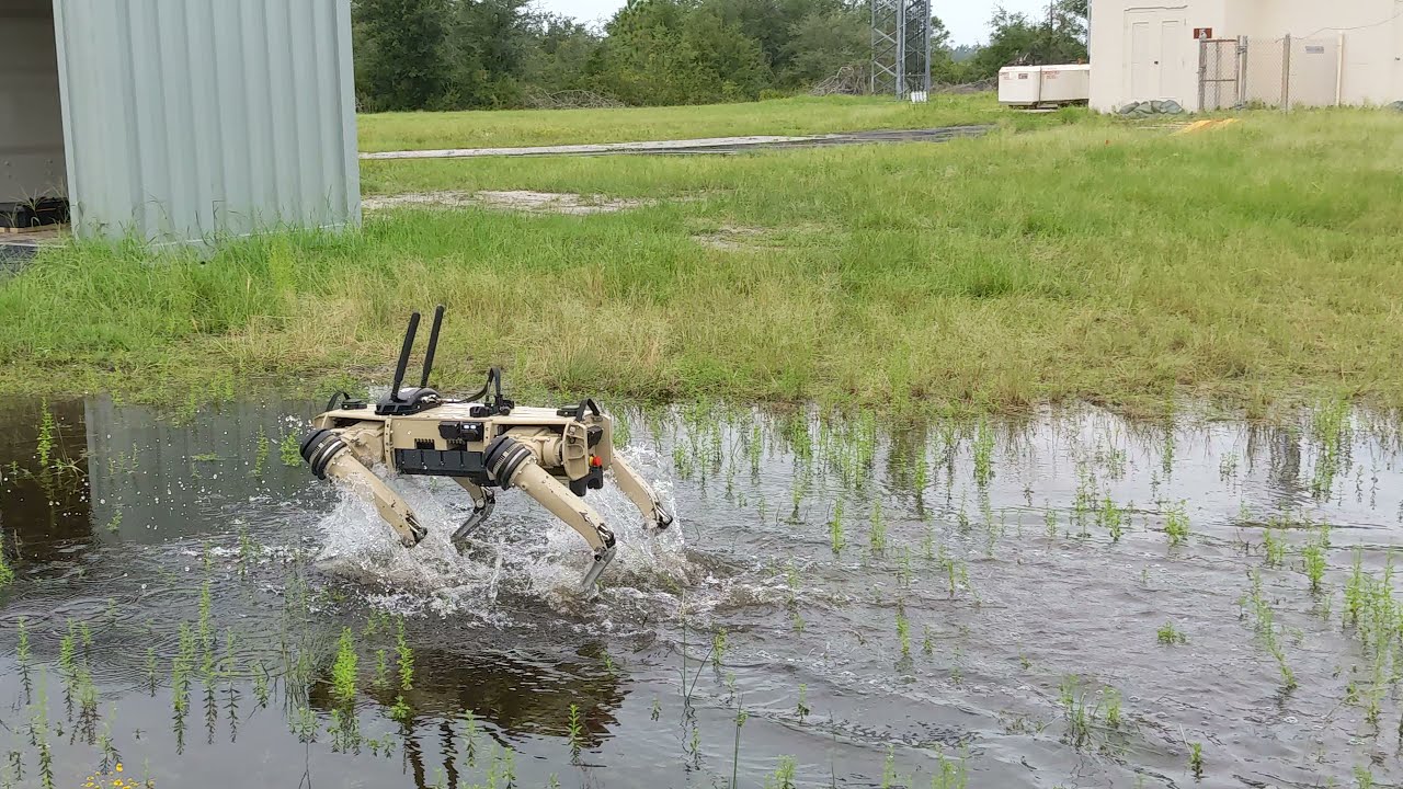 États-Unis. Immigration illégale : des chiens-robots pour surveiller la frontière mexicaine [Vidéo]