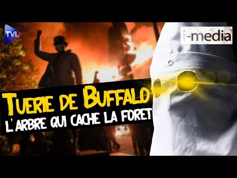 I-média 396. Le suprémaciste blanc cache la forêt