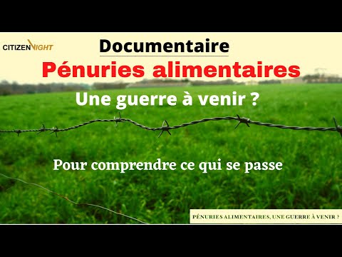 Pénuries alimentaires, une guerre à venir ?