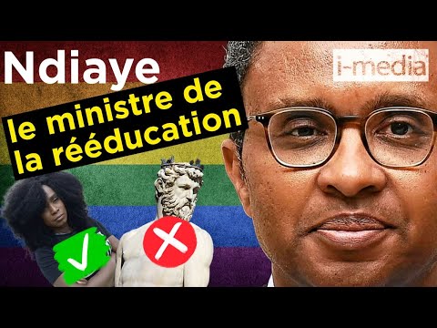 Pap Ndiaye : Un indigéniste ministre de la ré-Éducation Nationale (I-Média 397)