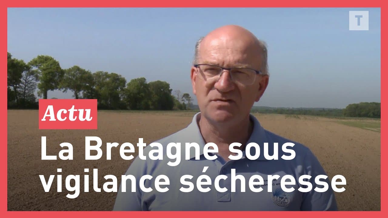 Agriculture. Inquiétudes autour de la sécheresse en Bretagne