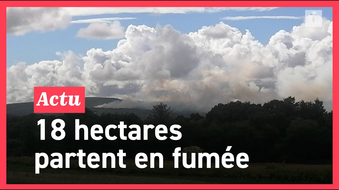 Incendie en cours : plus de 50 hectares de forêt et de landes brûlés sur le Menez-Hom