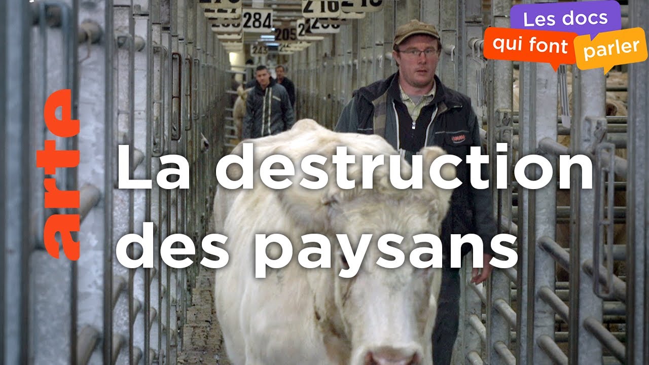 Sacrifice paysan. Reportage