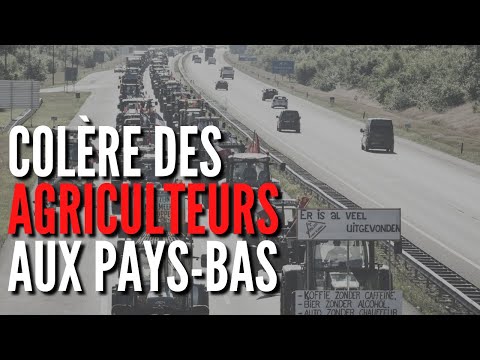 Ce qu'il se passe vraiment aux Pays-Bas avec la révolte des agriculteurs !