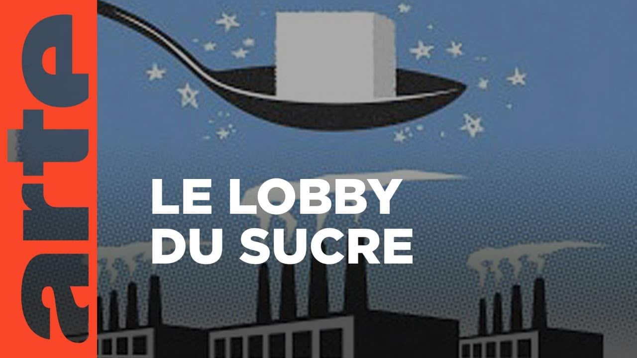 Reportage. Sucre, le doux mensonge