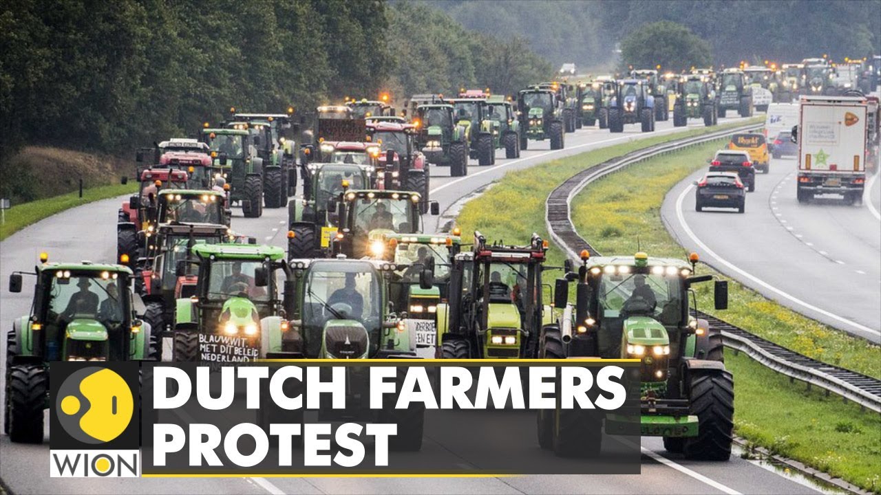 Pays-Bas. Pour réduire les émissions d'azote, le gouvernement veut fermer 3 000 exploitations agricoles, y compris par des « rachats obligatoires » [Vidéo]