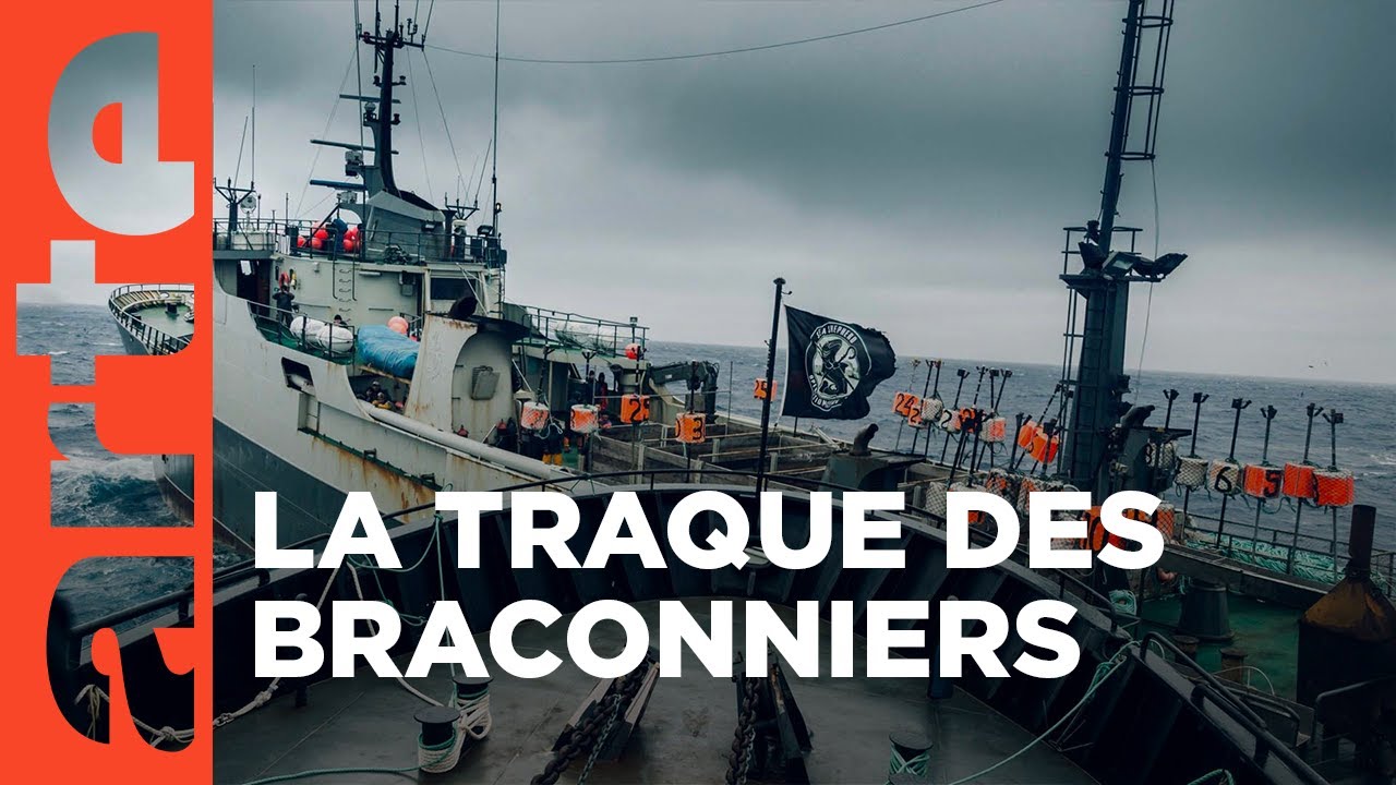 Les justiciers des océans. Sea Shepherd à la poursuite du Thunder