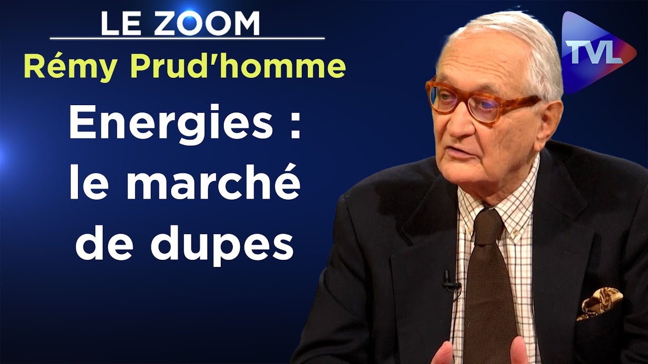 Qui sont les vrais responsables de la crise énergétique ? Par Rémy Prud'homme