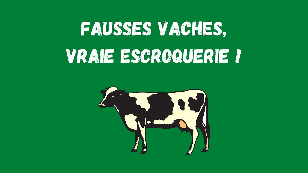 Cody Easterday, l'homme qui multipliait des vaches !