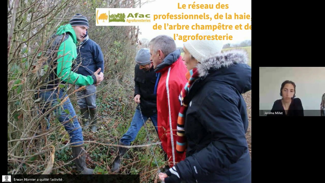 Environnement. Un « Appel de la Haie » en faveur d'un grand plan national pour sauver le bocage [Vidéo]