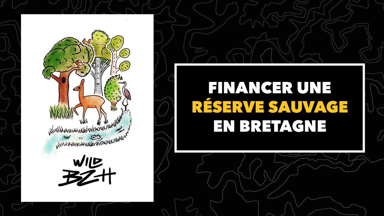 Un projet de forêt 100 % sauvage à Plouëc du Trieux (22)