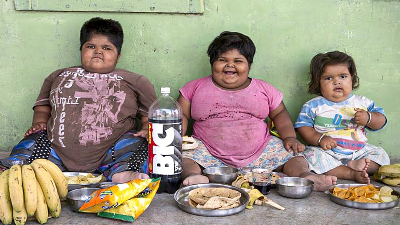 Santé. Obésité : plus d'un humain sur deux en surpoids d'ici 2035 ?