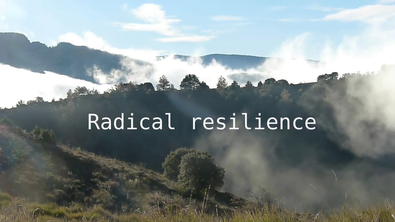 Radical Resilience : quand le gauchisme assume le fait d'être une maladie mentale !