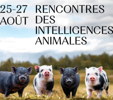 Intelligences animales