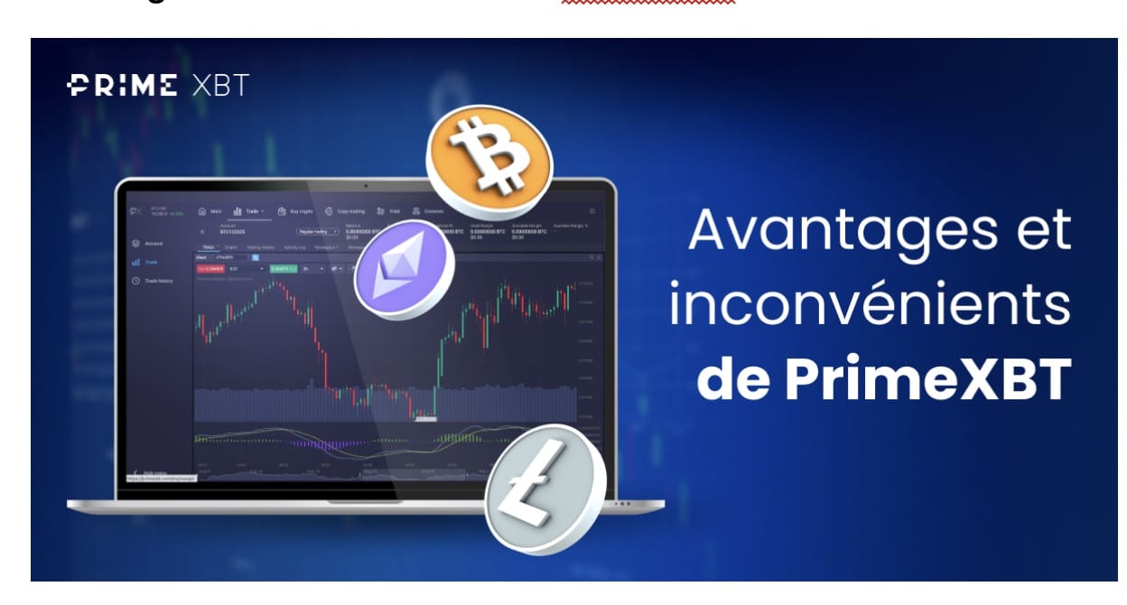 Cash For PrimeXBT Trader in Argentina