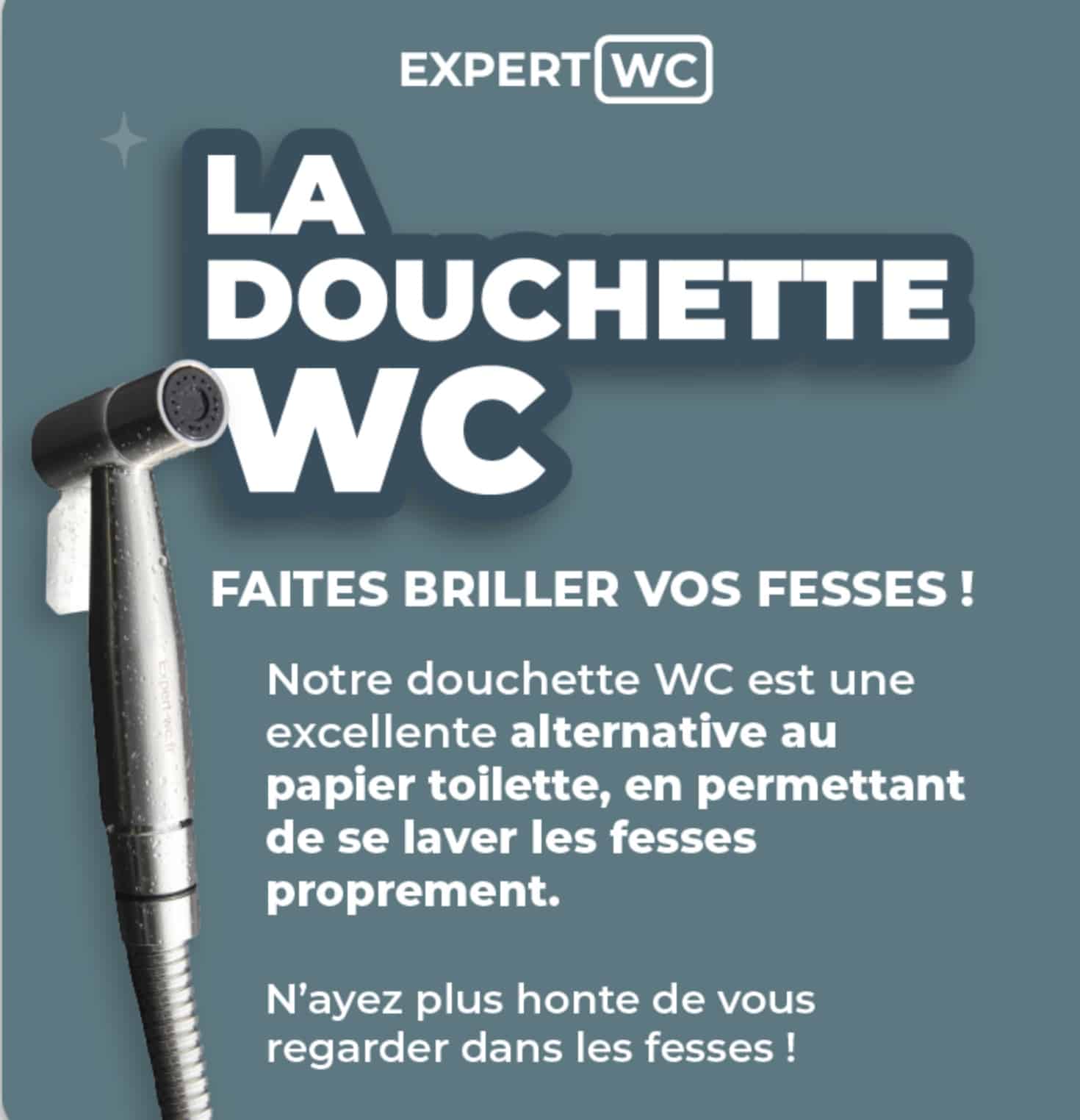 Expert W.-C. Cette entreprise bretonne de Plouvien qui vous promet