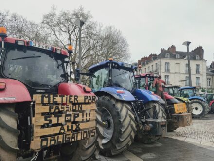 Amélie Menu : « Fabriquer un vagin artificiel, c'est de la boucherie pure »