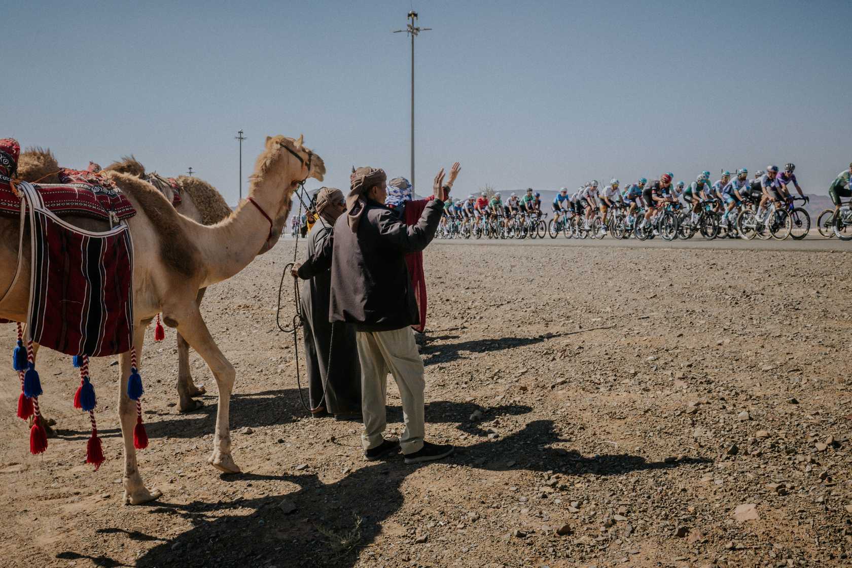 Jonathan Milan et Tim Merlier vont s’affronter pour la victoire finale sur l’AlUla Tour 2026