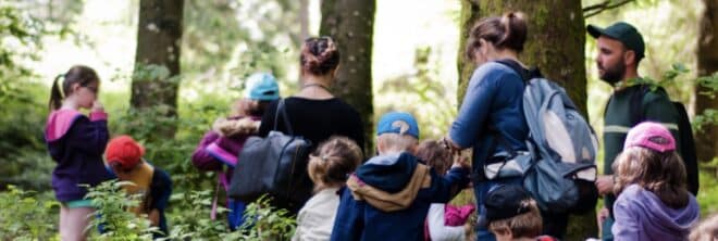 Bretagne : une semaine pour redécouvrir la forêt, entre nature,