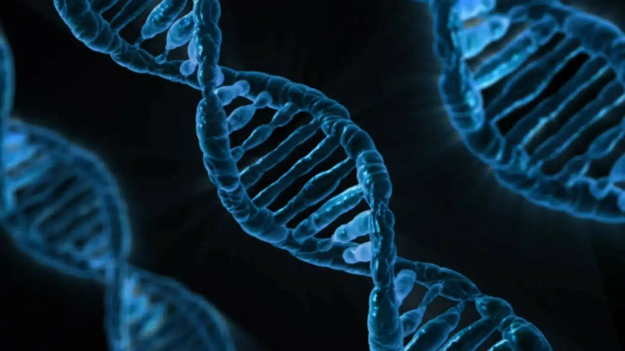 DNA Cryptography: a major scientific breakthrough tested in real conditions