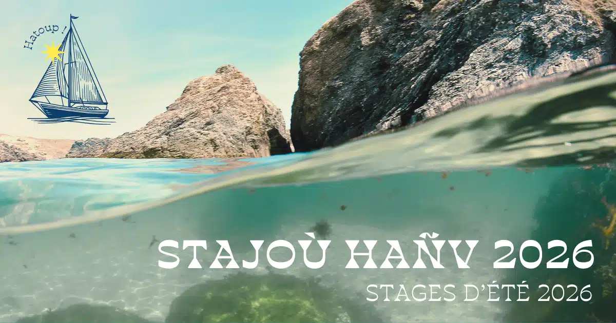 Breton language: Roudour launches its short but intensive spring and summer courses