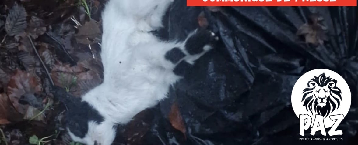 Redressement judiciaire pour le parc animalier La Halte du Volcan à Pléchâtel